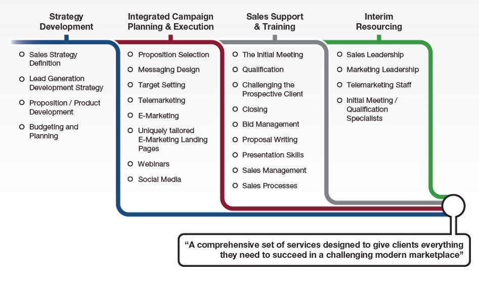 Sales and Business Development Strategy Consultancy